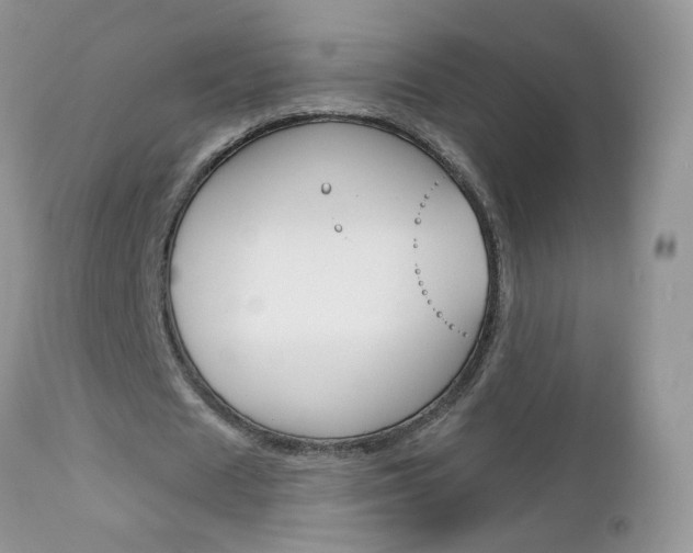 X0000113120625200908281043