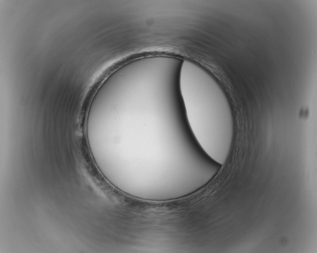 X0000113120628200908281043