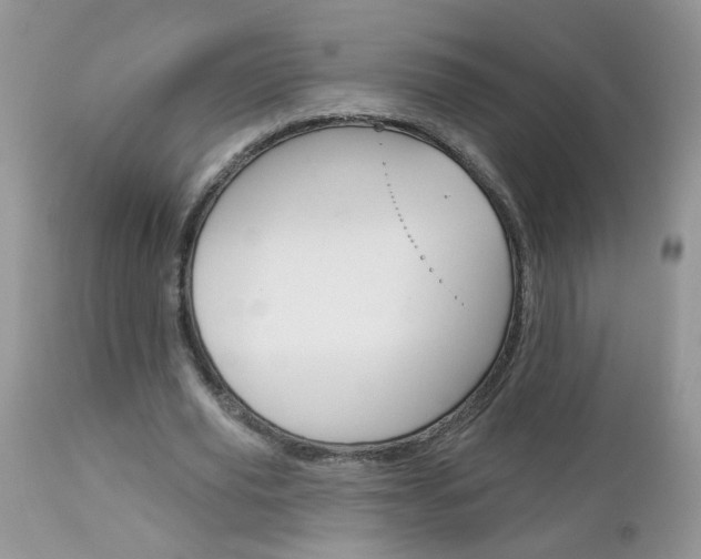 X0000113120629200908281043