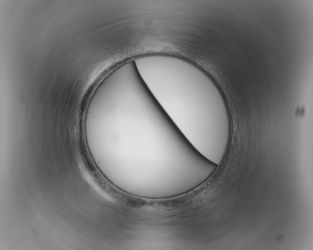 X0000113120630200908281043