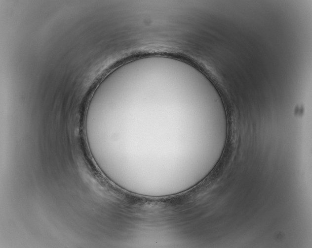 X0000113120631200908281043