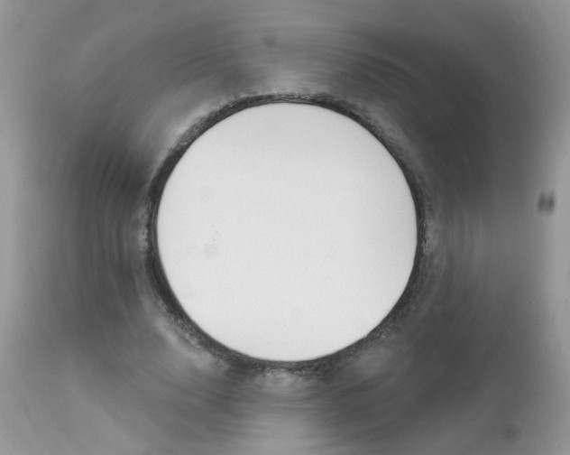 X0000113120632200908281043