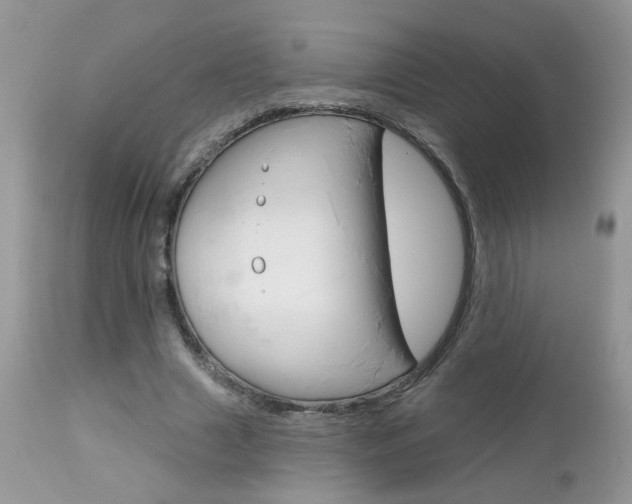 X0000113120633200908281043
