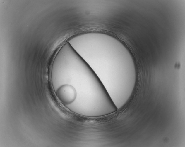 X0000113120634200908281043
