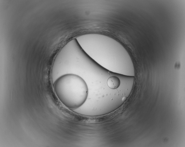 X0000113120639200908281043