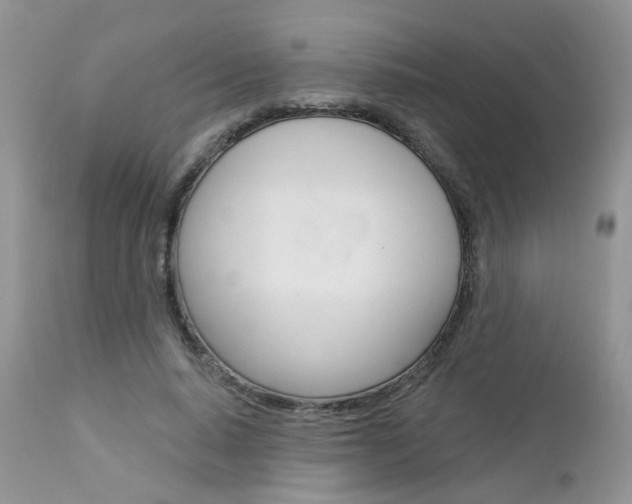 X0000113120640200908281043