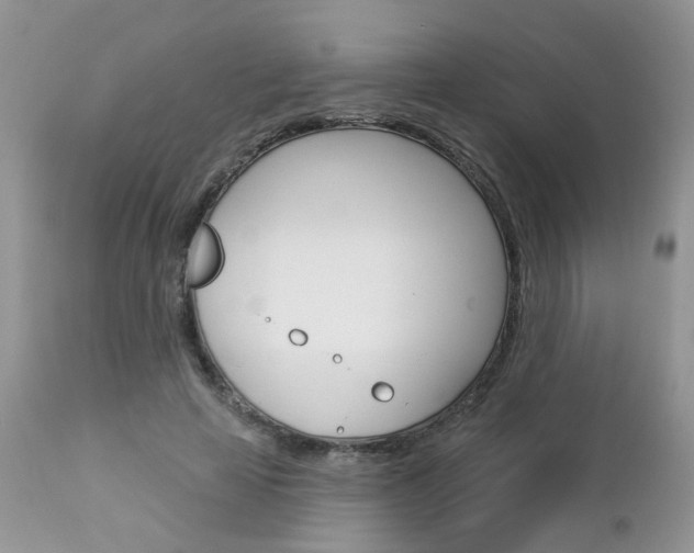 X0000113120641200908281043