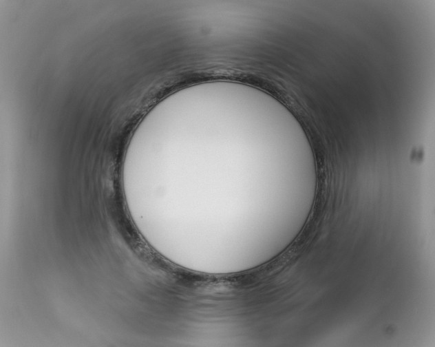 X0000113120643200908281043