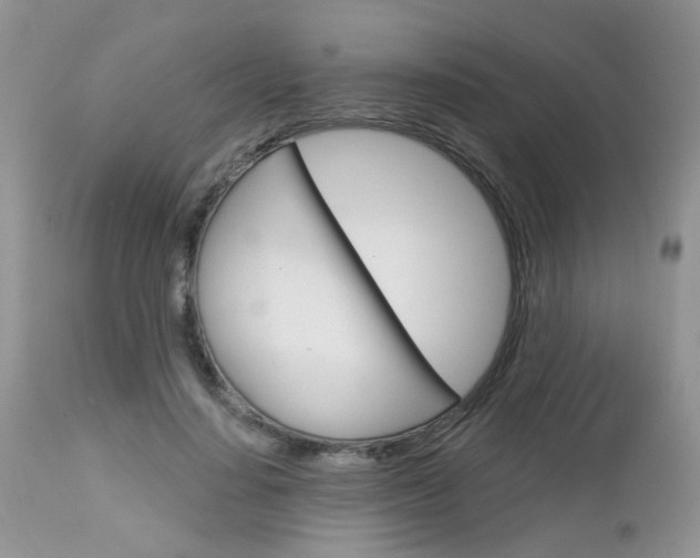 X0000113120644200908281043