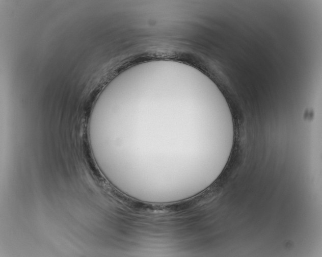 X0000113120645200908281043