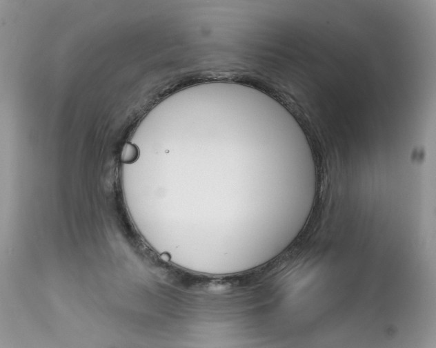 X0000113120647200908281043
