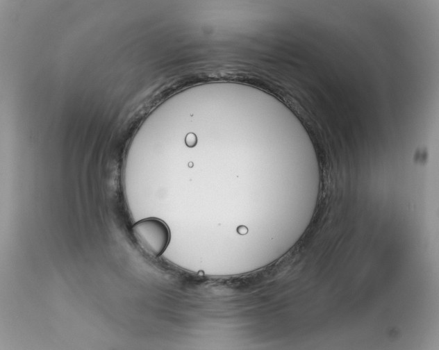 X0000113120648200908281043