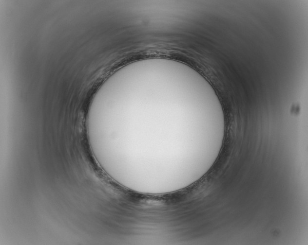 X0000113120649200908281043