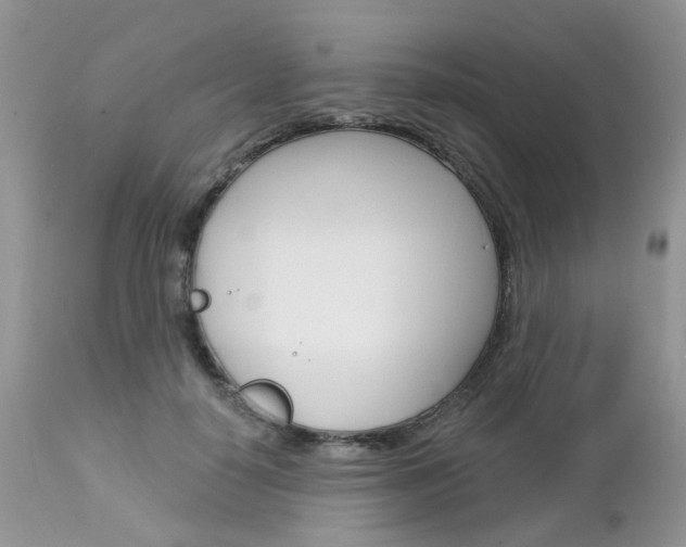 X0000113120650200908281043