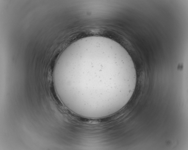 X0000113120651200908281043