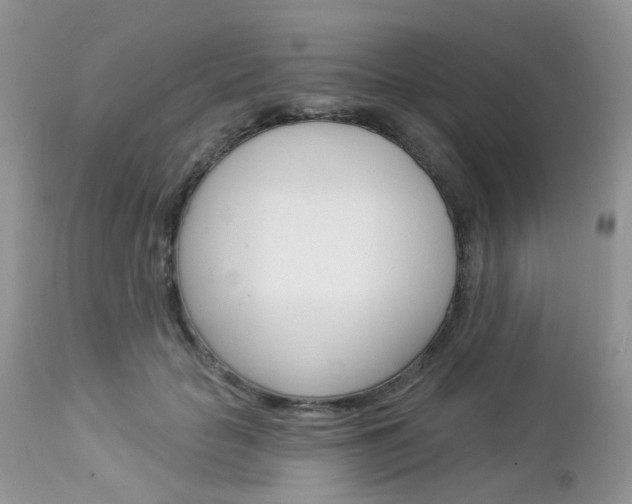 X0000113120653200908281043