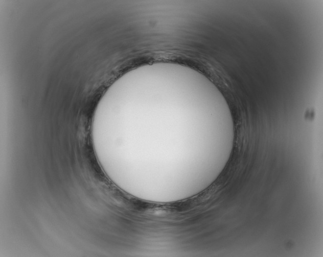 X0000113120655200908281043
