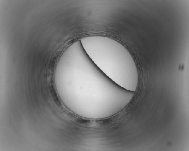 X0000113120656200908281043