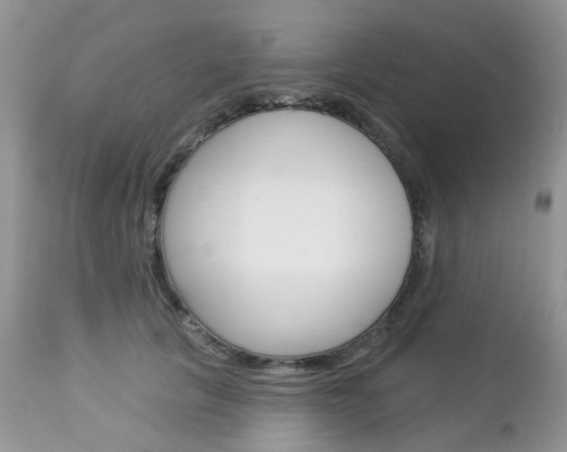 X0000113120657200908281043