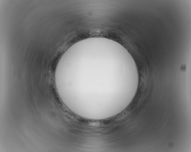X0000113120659200908281043