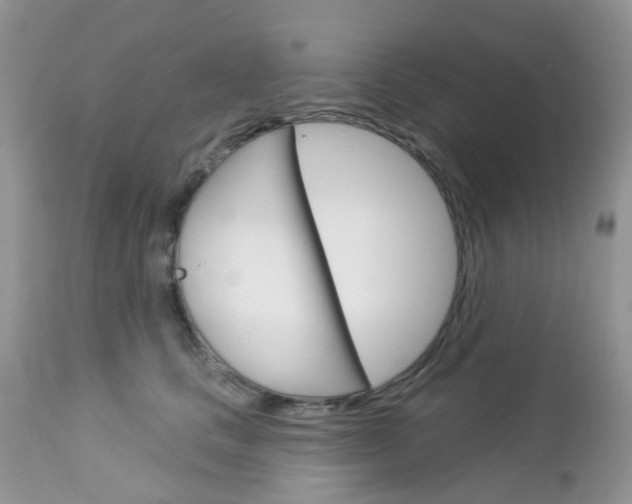 X0000113120661200908281043