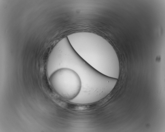 X0000113120662200908281043