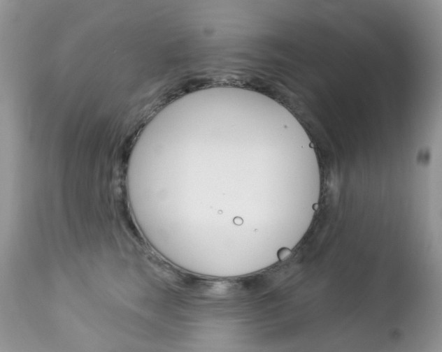 X0000113120663200908281043