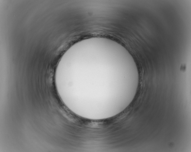 X0000113120664200908281043