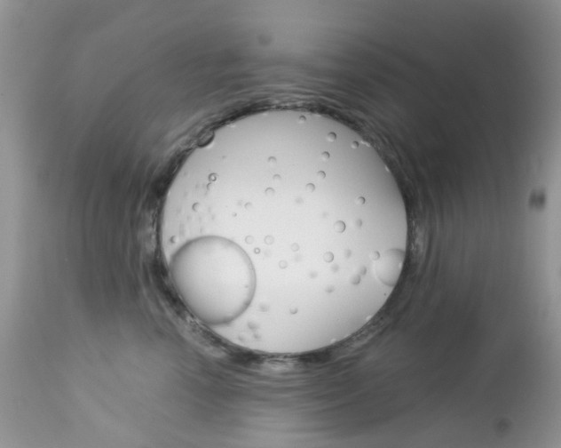X0000113120666200908281043