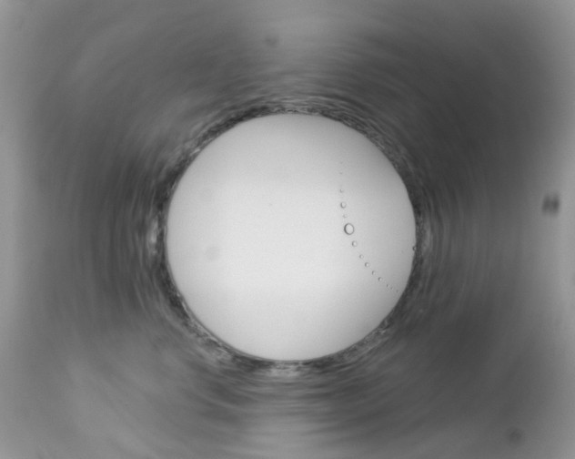 X0000113120668200908281043