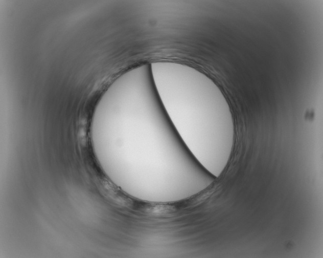X0000113120670200908281044