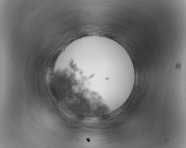 X0000113120671200908281044