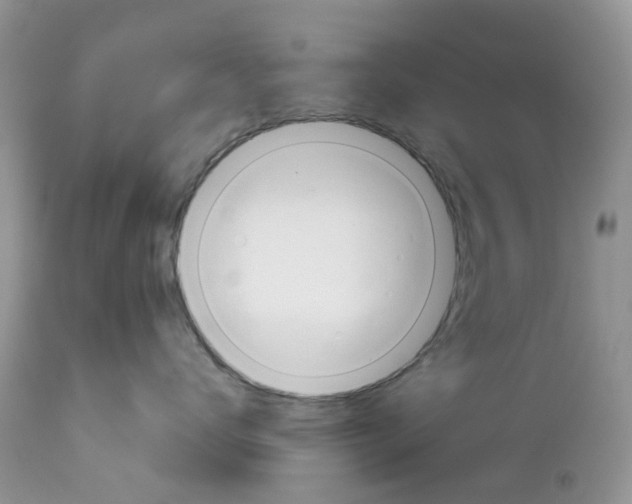 X0000113120672200908281044