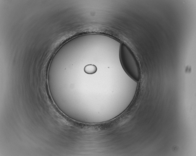 X0000113120673200908281043