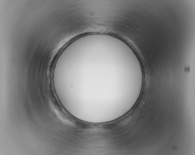 X0000113120674200908281043