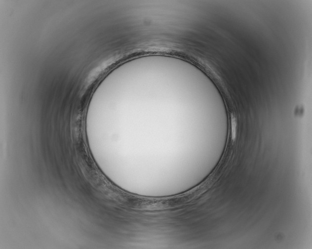 X0000113120675200908281043