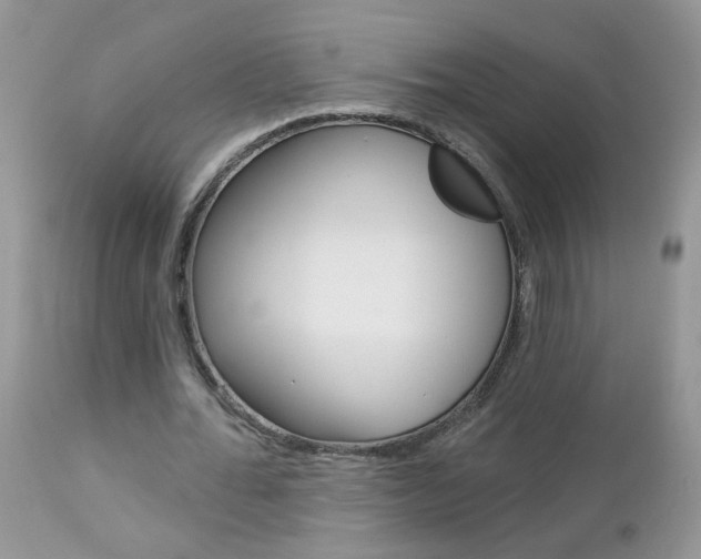 X0000113120676200908281043