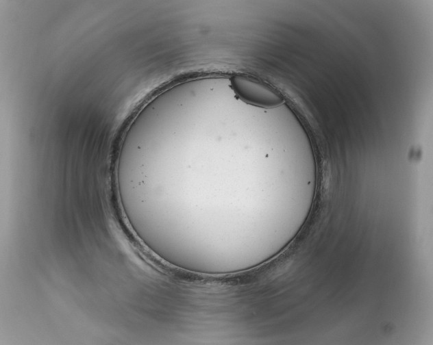 X0000113120677200908281043