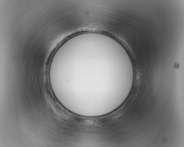X0000113120678200908281043