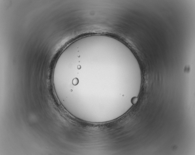 X0000113120679200908281043