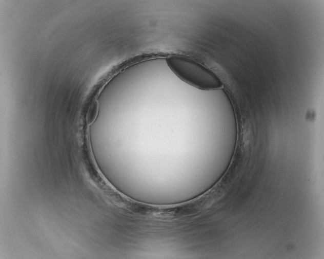 X0000113120680200908281043