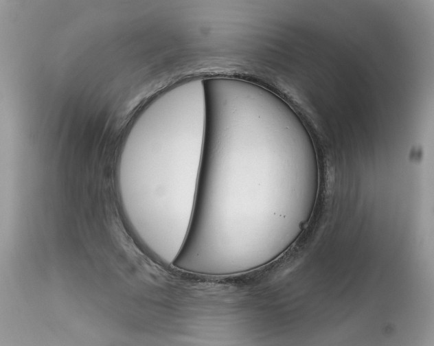 X0000113120681200908281043