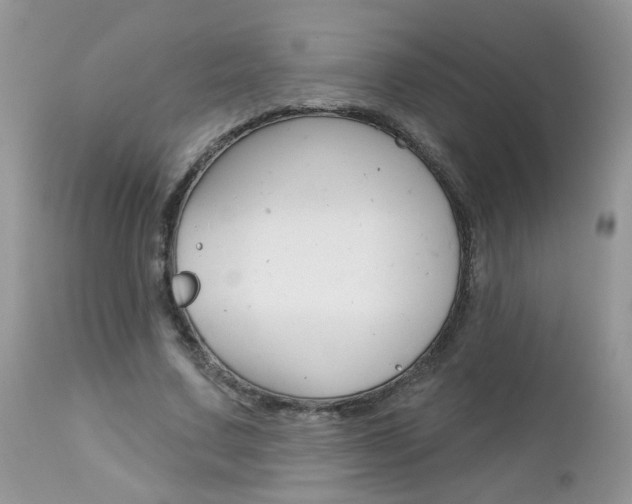 X0000113120683200908281043
