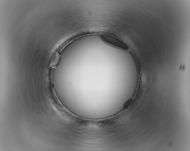 X0000113120684200908281043