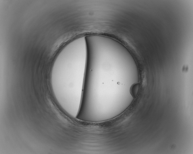 X0000113120685200908281043