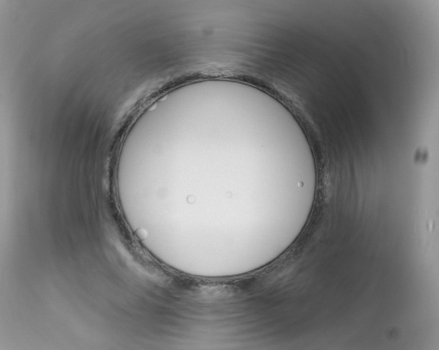 X0000113120686200908281043