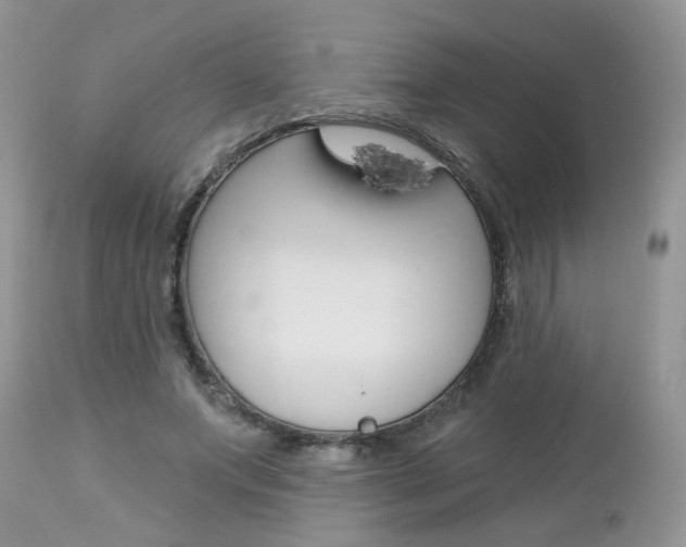 X0000113120687200908281043