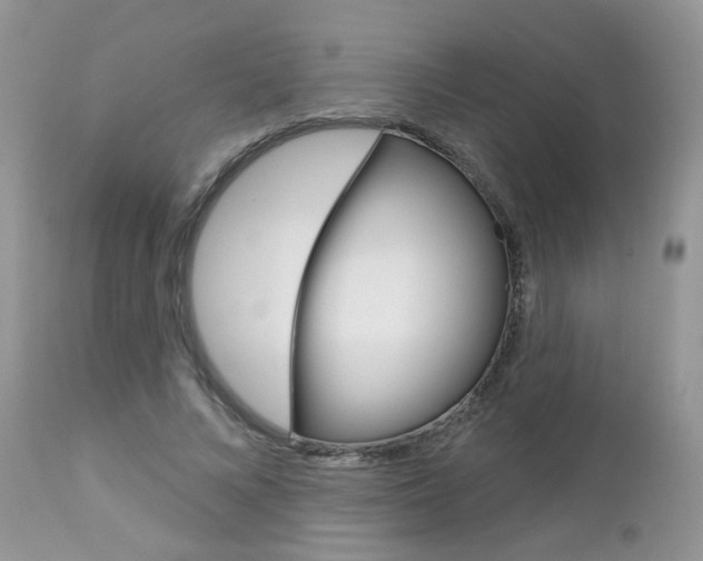 X0000113120688200908281042
