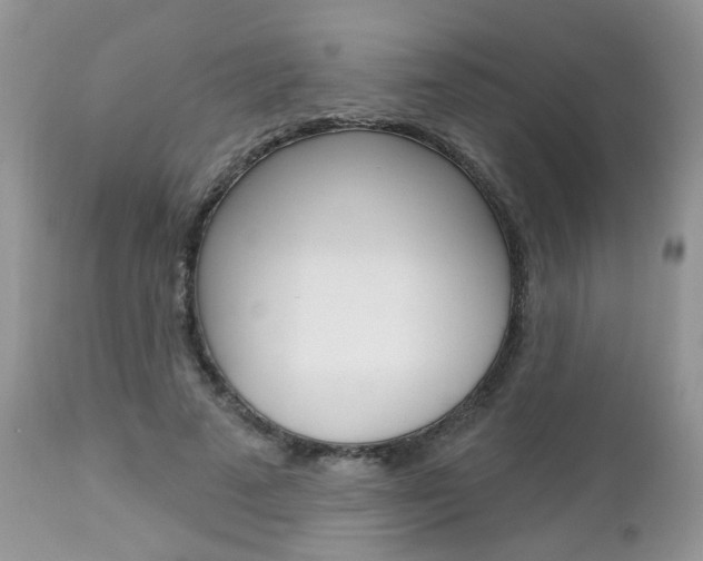 X0000113120689200908281042
