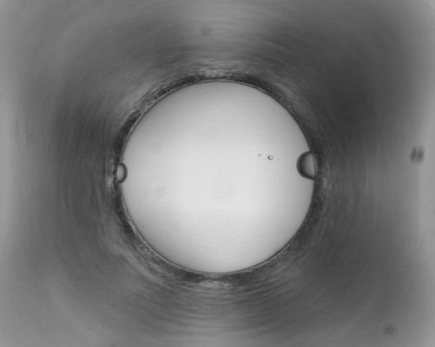 X0000113120691200908281042